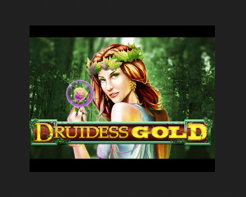 Playing Druidess Gold Slot